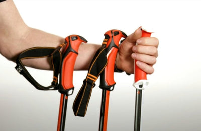 G3 Backcountry Ski Poles